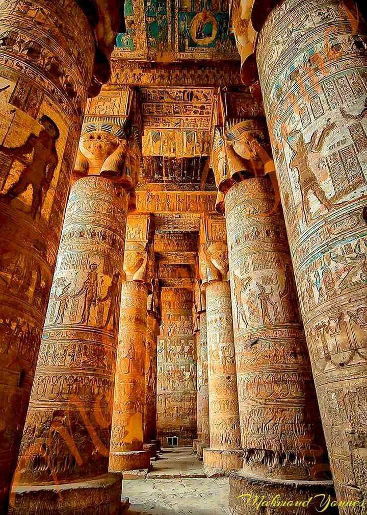 Medical concierge team